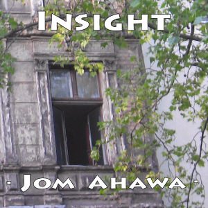 Insight