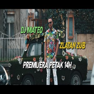 Zlatan Zub