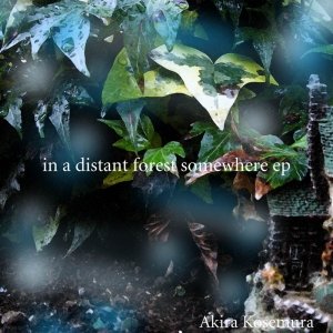 In a Distant Forest Somewhere EP