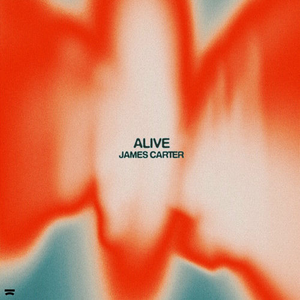 Alive 的封面