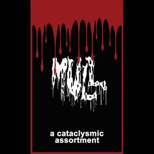 A Cataclysmic Assortment