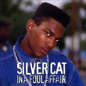 Аватар для Silver Cat