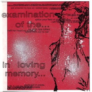 Examination Of The... / In Loving Memory...