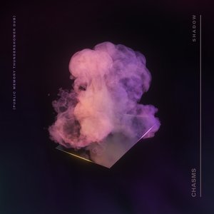 Shadow (Public Memory Thundershower Dub) - Single