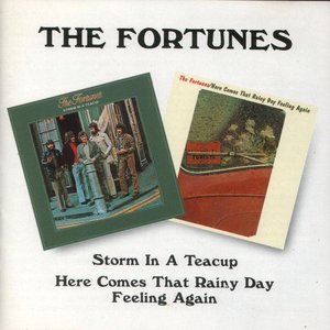 Storm in a Teacup / Here Comes That Rainy Day Feeling Again