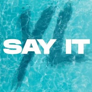 Say It