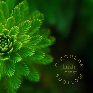 Lush Forest