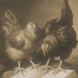 Chronicles of the Mystic Coop 的头像