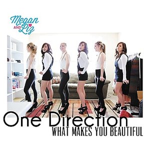 Megan & Liz - What Makes You Beautiful - Zortam Music