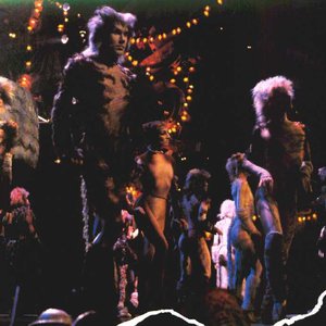 Image for 'Andrew Lloyd Webber & Cats Original Broadway Cast Recording'