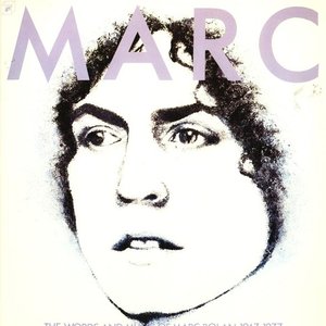 The Words And Music Of Marc Bolan