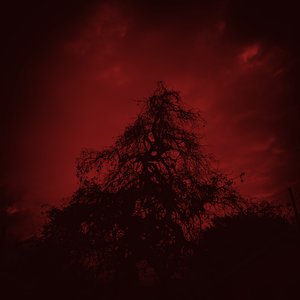 Scarlet Ethereal