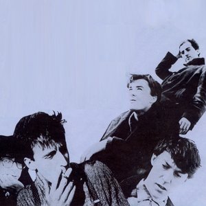 The Bluebells 的头像