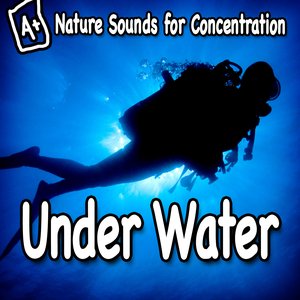 Nature Sounds for Concentration – Under Water