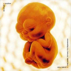 Счастлива, потому что беременна: Зелёный альбом