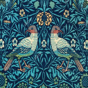 Where Do All the Birds Go
