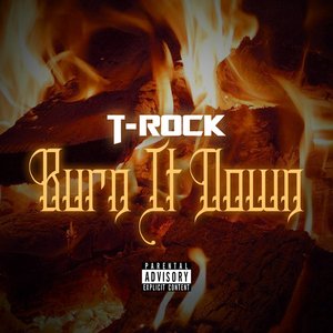 Burn It Down - Single