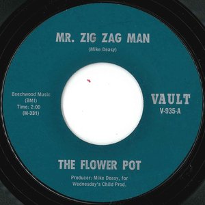 Mr. Zig Zag Man