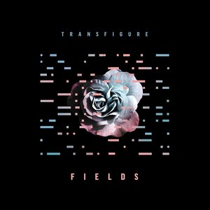 Fields - Single