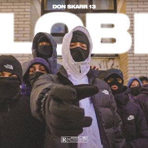 Avatar for Don Skarr 13