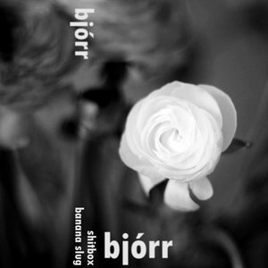 Аватар для Bjórr