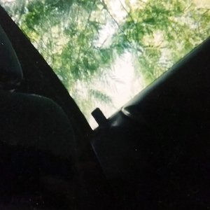 Sycamore 的头像