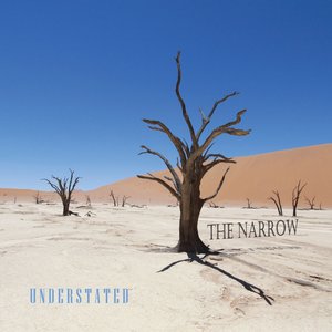 Understated (Best of the Narrow Acoustic)