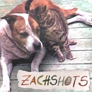 Zachshots [Explicit]