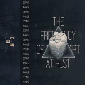 The Frequency Of The Heart At Rest
