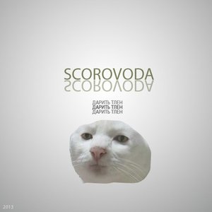 Image for 'scoro voda'