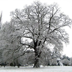 Hitom himlen