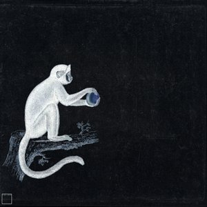 Curse Monkey