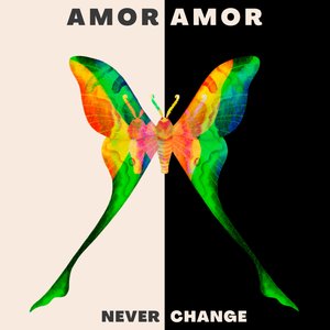 Never Change - Single