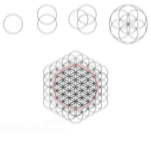 The Flower of Life