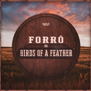 Forró do Birds Of A Feather - Single
