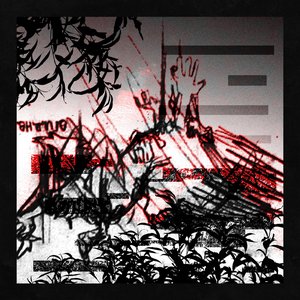 Organic's Decay