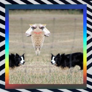 Symmetrical Dogz