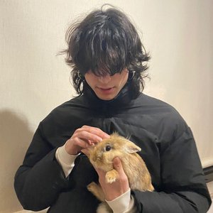 Hen848 的头像