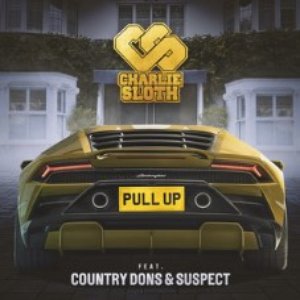 Pull Up (feat. Country Dons & Suspect OTB)