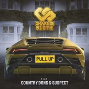 Pull Up (feat. Country Dons & Suspect OTB)