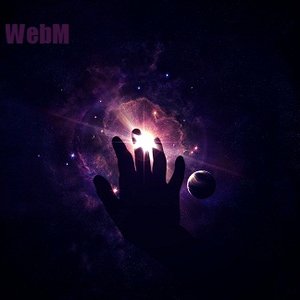 webm 的头像