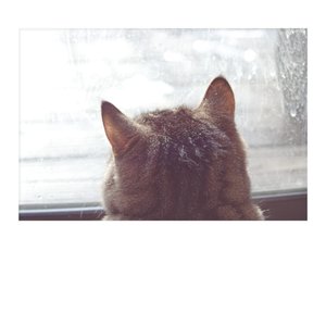 I will talk and you will pretend to care