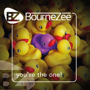 BourneZee - You're the one (break beat mix)