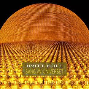 Hvitt Hull 的头像