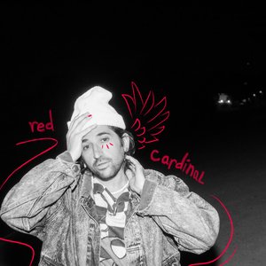 Red Cardinal