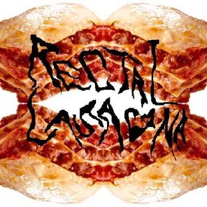 Rectal Lasagna 的头像