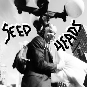 SEEDHEADS 的头像