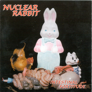 Intestinal Fortitude cover