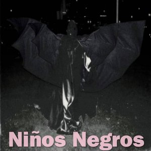 Niños negros