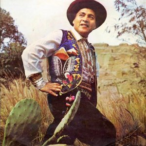 Avatar de Gorrión Andino